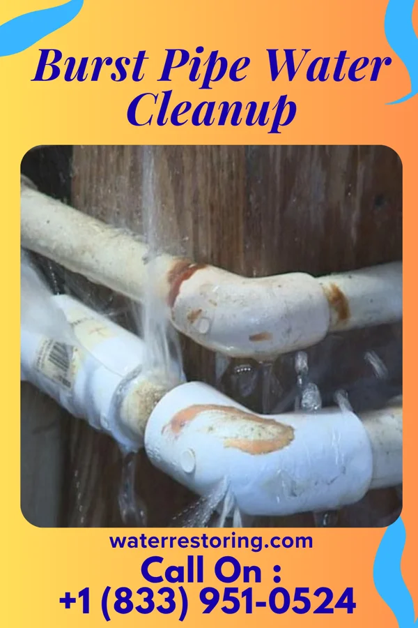 Burst Pipe Water Cleanup in Rippey, IA