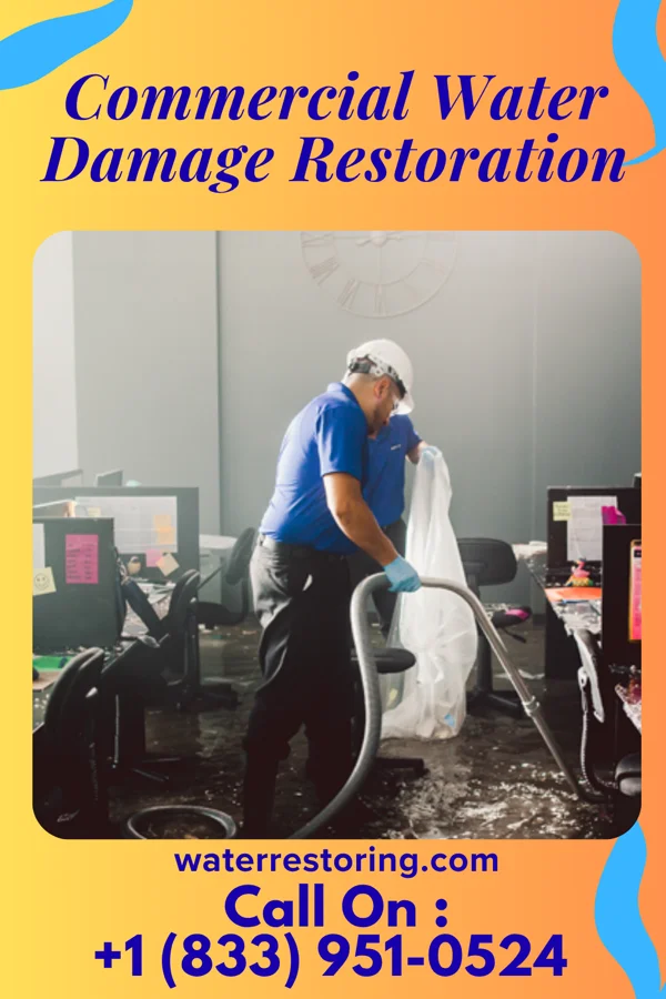 Commercial Water Damage Restoration in Rippey, IA