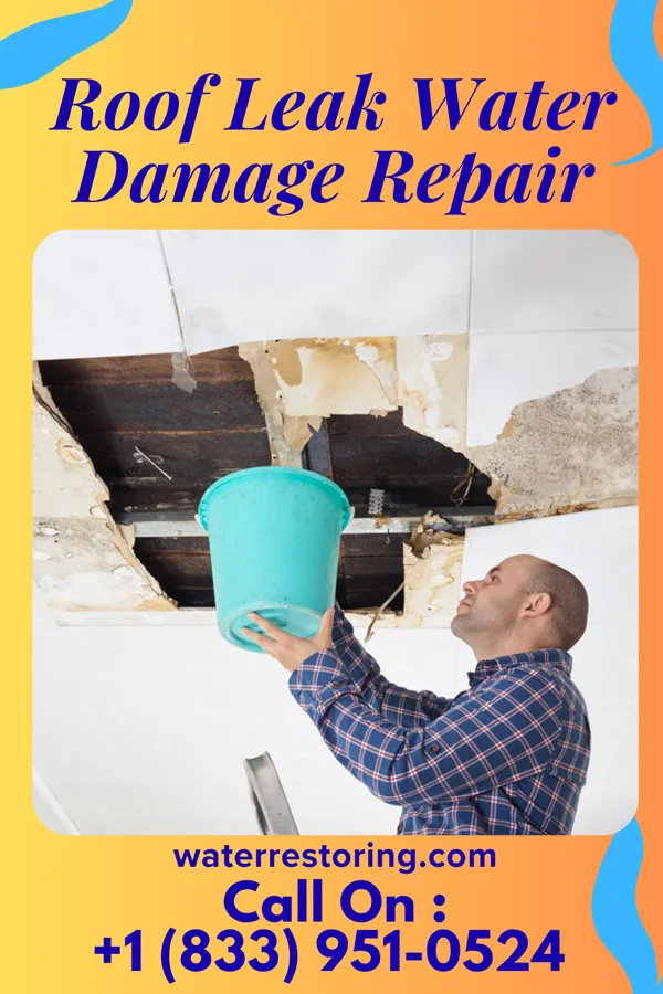 Roof Leak Water Damage Repair in Rippey, IA